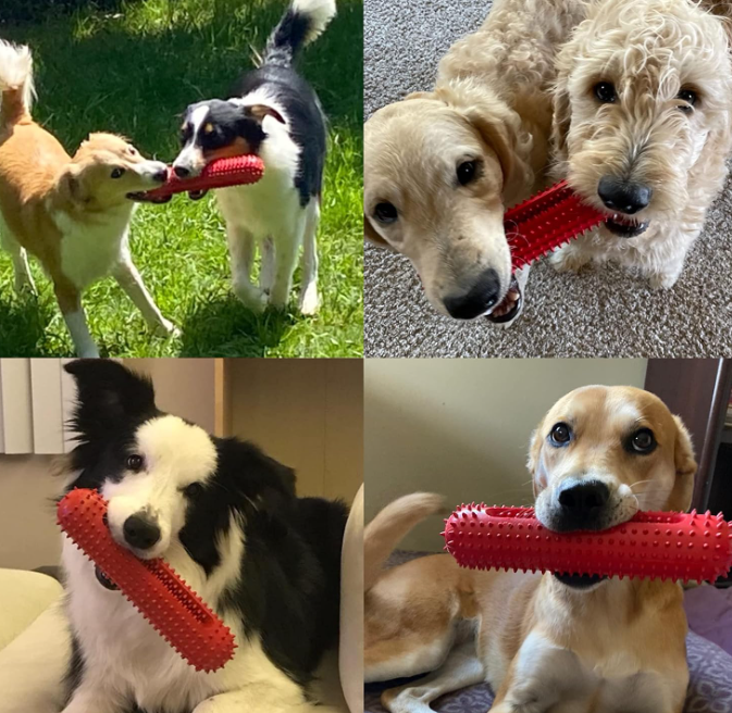 Durable Dog Squeaky Chew Toy, Toothbrush Design Dental Cleaning Toy for Interactive Play - Image 2