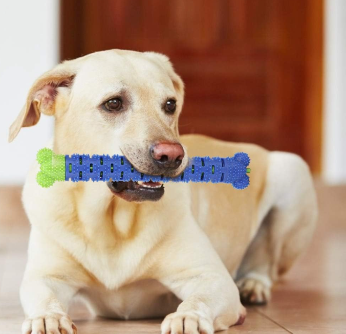 Silicone Dog Toothbrush Stick, Molar Chew Toy, Dental Cleaning Bone for Pets - Image 2