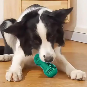 Fillable Dog Treat Toy, Dental Cleaning Chew Toy, Interactive Toothbrush Toy for Dogs