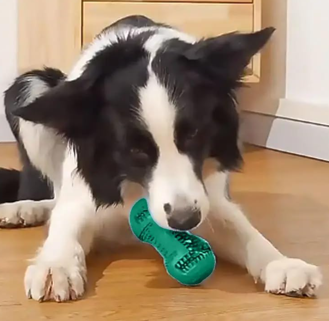Fillable Dog Treat Toy, Dental Cleaning Chew Toy, Interactive Toothbrush Toy for Dogs