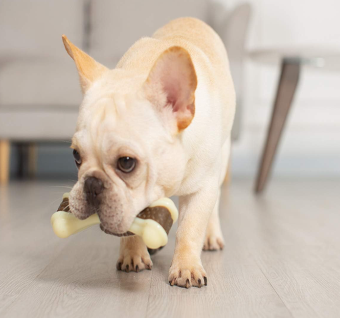 20 Pack Dog Chew Bone Toys, Durable Dental Cleaning Chew Toys for Interactive Pet Play - Image 2