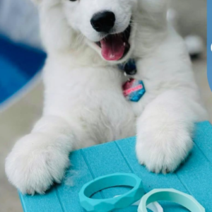 Puppy Teething Ring Toy, Food Grade Silicone Chew Toy, Teething Relief Toy for Puppies