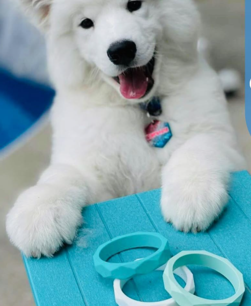 Puppy Teething Ring Toy, Food Grade Silicone Chew Toy, Teething Relief Toy for Puppies