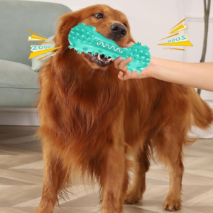 Dog Training Interactive Dental Chew Toy, Squeaky Chew Stick, Toothbrush Bone Toy for Teeth Cleaning