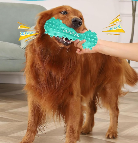Dog Training Interactive Dental Chew Toy, Squeaky Chew Stick, Toothbrush Bone Toy for Teeth Cleaning
