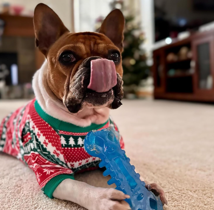 Fillable Dog Chew Toy, Dental Cleaning Interactive Toy for Treats and Training