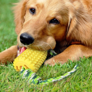 Corn-Shaped Dog Dental Chew Toy, Interactive Chewing Toy for Teeth Cleaning and Daily Oral Care