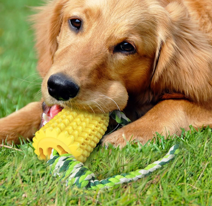 Corn-Shaped Dog Dental Chew Toy, Interactive Chewing Toy for Teeth Cleaning and Daily Oral Care