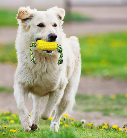 Corn-Shaped Dog Dental Chew Toy, Interactive Chewing Toy for Teeth Cleaning and Daily Oral Care - Image 2