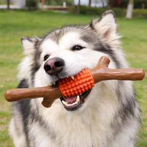 Nylon and Rubber Dog Chew Stick, Durable Teething Toy with Dental Cleaning Function