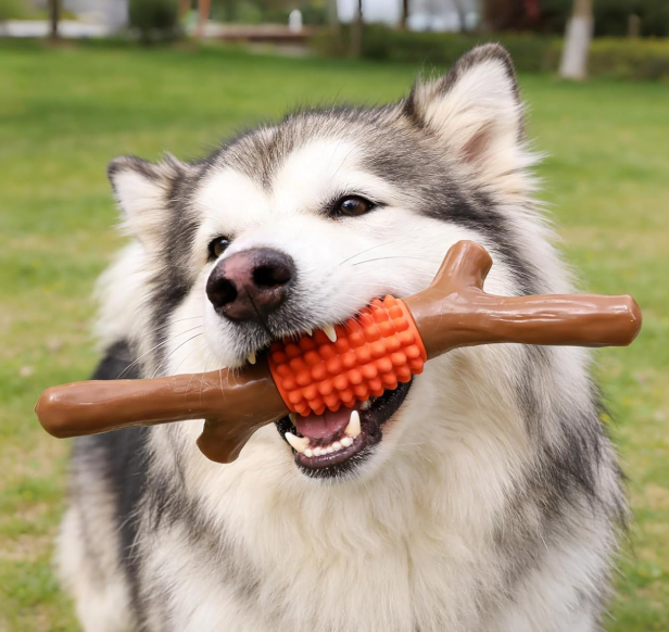 Nylon and Rubber Dog Chew Stick, Durable Teething Toy with Dental Cleaning Function