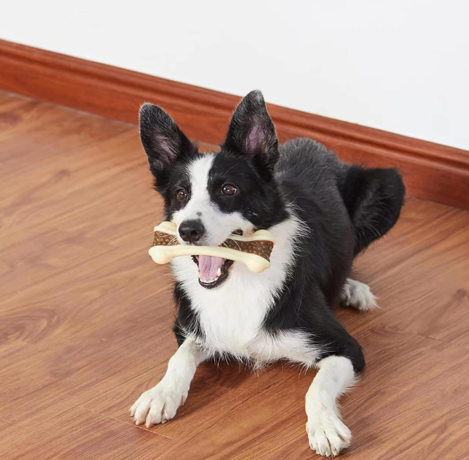 6 Pack Dog Bone Chew Toys, Durable Dental Cleaning Chew Toys for Dogs