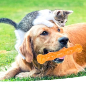 Silicone Pet Molar Stick Toy, Interactive Chew Toy for Dogs, Durable Dental Cleaning Toy