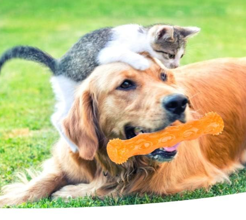 Silicone Pet Molar Stick Toy, Interactive Chew Toy for Dogs, Durable Dental Cleaning Toy
