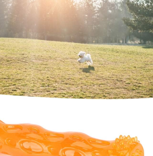 Silicone Pet Molar Stick Toy, Interactive Chew Toy for Dogs, Durable Dental Cleaning Toy - Image 2