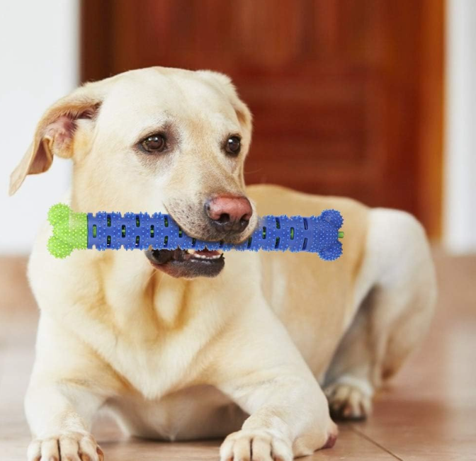 Cat Cactus Chew Toy, Natural Rubber Dental Cleaning Toy with Interactive Design