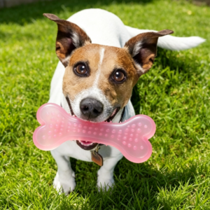 Dog Dental Chew Bone, Soft Bristle Tooth Cleaning Toy, Gum Care Chew Stick for Puppies
