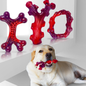 3 Pack Durable Dog Chew Bones, Long-Lasting Dental Cleaning Toys for Aggressive Chewers