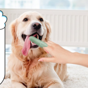 4 Pack Silicone Finger Toothbrush Set for Dogs and Cats, 360° Teeth Cleaning Brush for Pet Oral Care