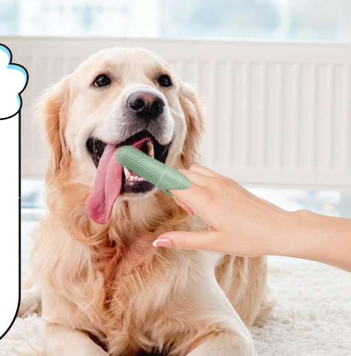 4 Pack Silicone Finger Toothbrush Set for Dogs and Cats, 360° Teeth Cleaning Brush for Pet Oral Care